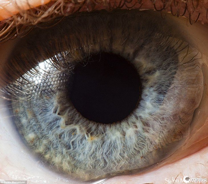 Detalhe de uns olhos azuis 