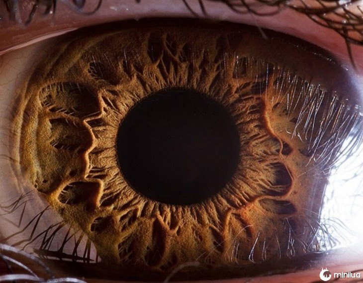 foto do detalhe de um olho 