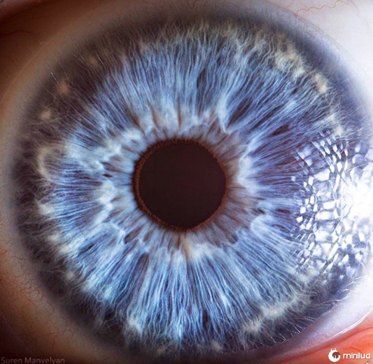 detalhe de um olho azul 