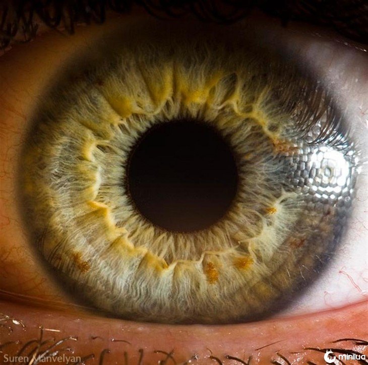 foto de um olho humano 