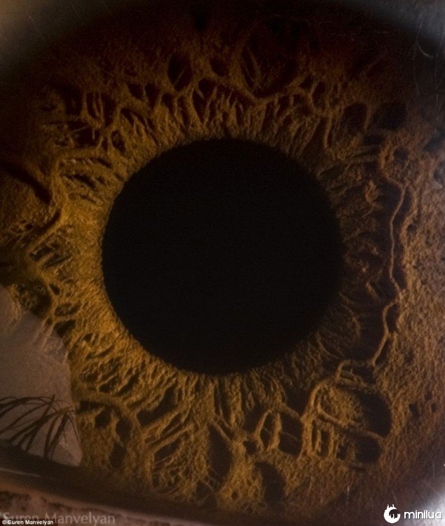detalhe no interior do olho 
