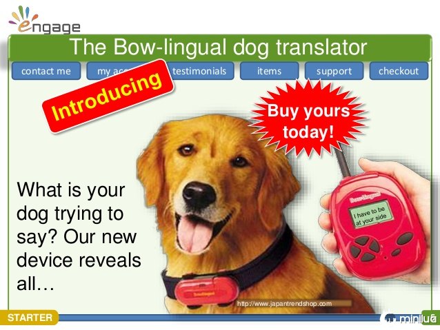 Produtos cães - Tradutor latindo
