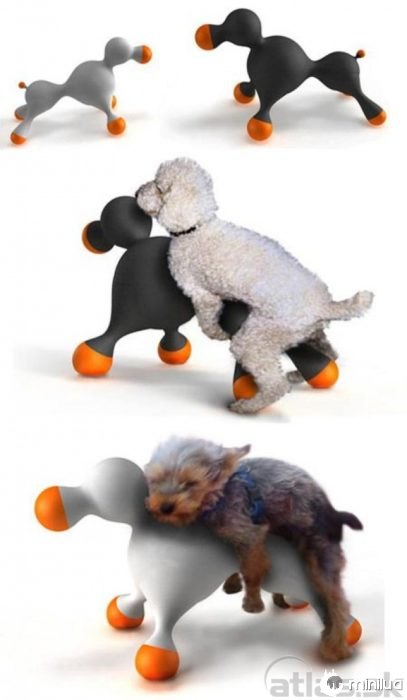 Cães Produtos - cão brinquedo sexual