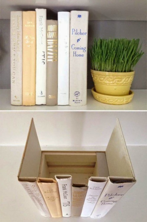 superfície de uma caixa decorada com livros em torno ao lado de uma planta 