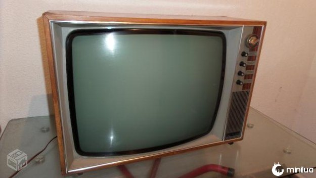 A televisão com acabamento em madeira.