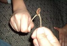 20 imagens que vão fazer você lembrar da infância na casa da sua avó