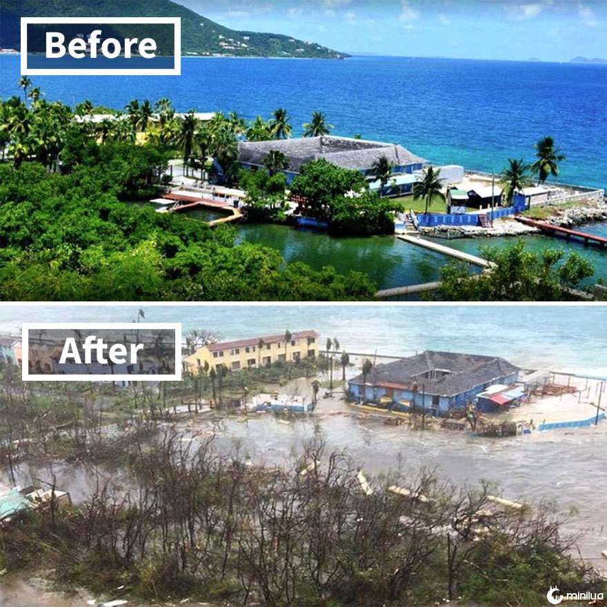 Atração de descoberta de golfinhos em Tortola nas Ilhas Virgens (antes e depois do dano Irma)