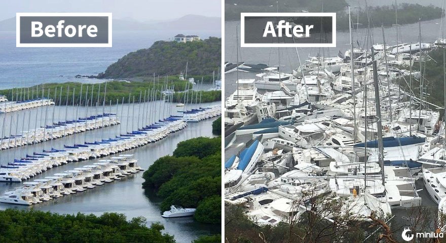 Paraquita Bay (Antes e Depois de Irma Damage)