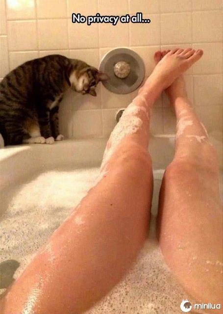 No privacy at all....