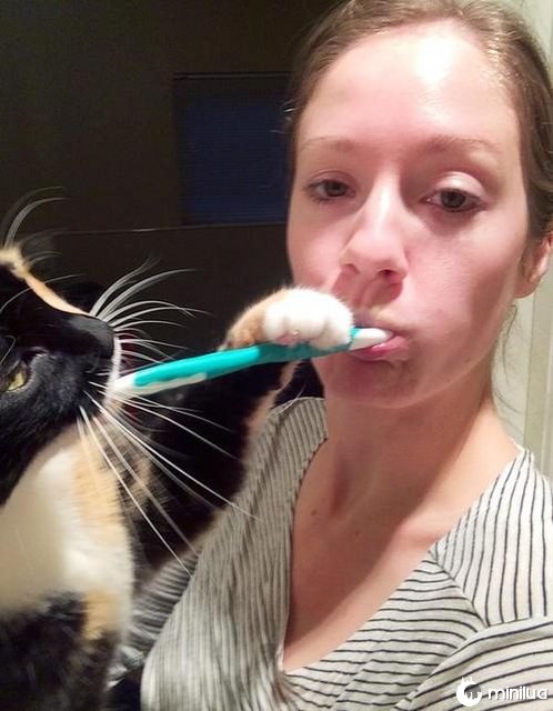 Every morning when I brush my teeth.
