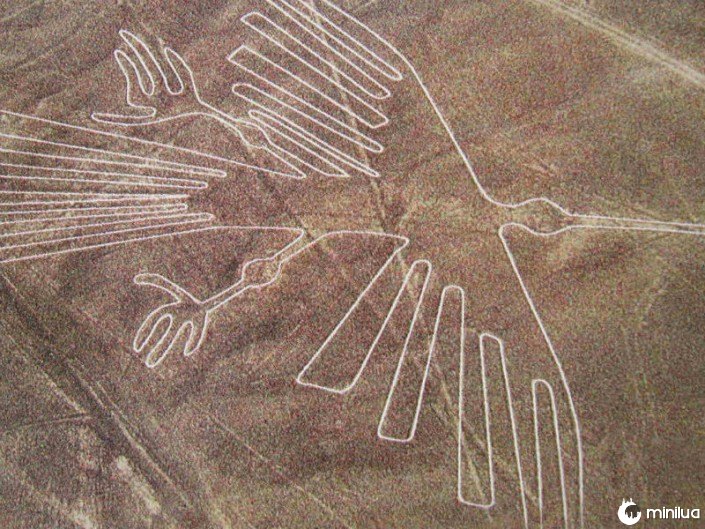Linhas-de-Nazca