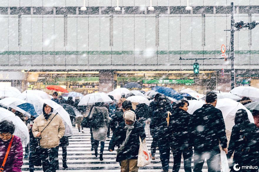 Snowy Shinjuku, Tóquio