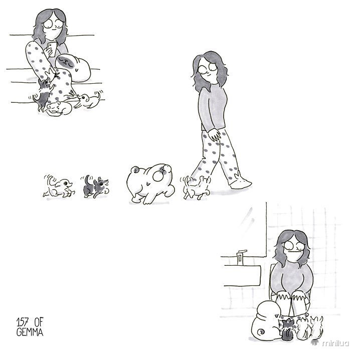 Pug-Mochi-Comic-Gemma-Gene-157ofgemma