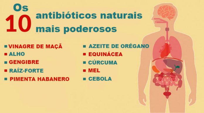 10 antibióticos naturais mais poderosos conhecidos pela humanidade