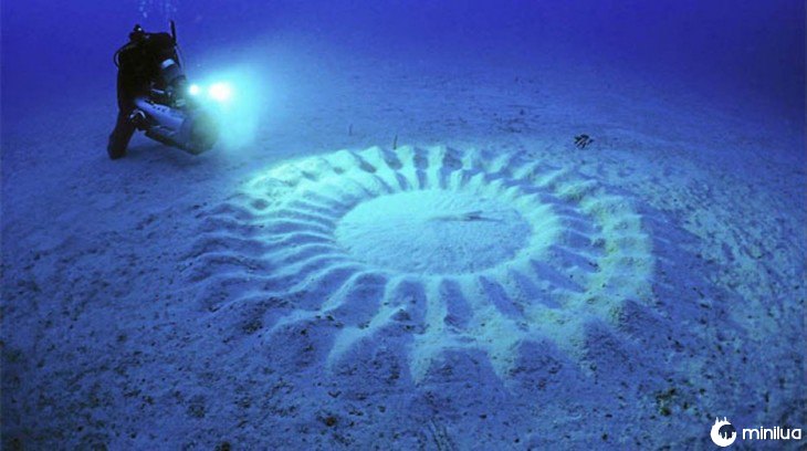 Um, mergulhador, sob, mar, perto, círculos, formado, areia 
