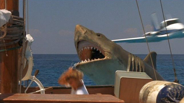 Jaws: a vingança