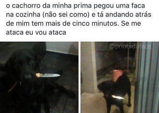 Pérolas da Net #4