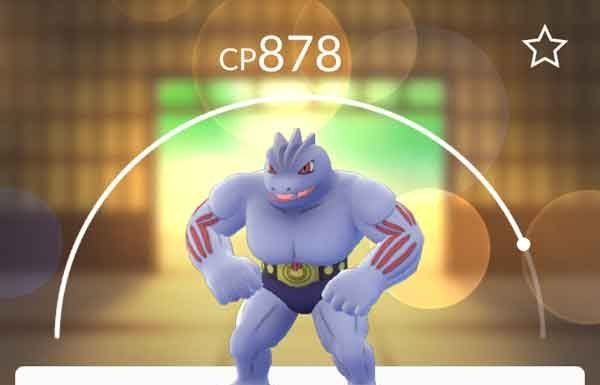 Pokémons são batizados com nomes bizarros e comparado com celebridades brasileiras
