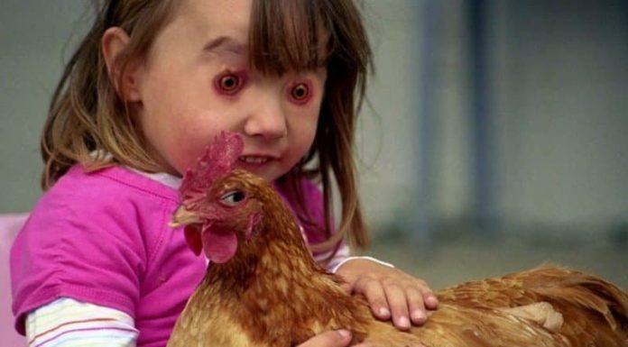 15 trocas de rosto mais perturbadoras e hilárias da internet