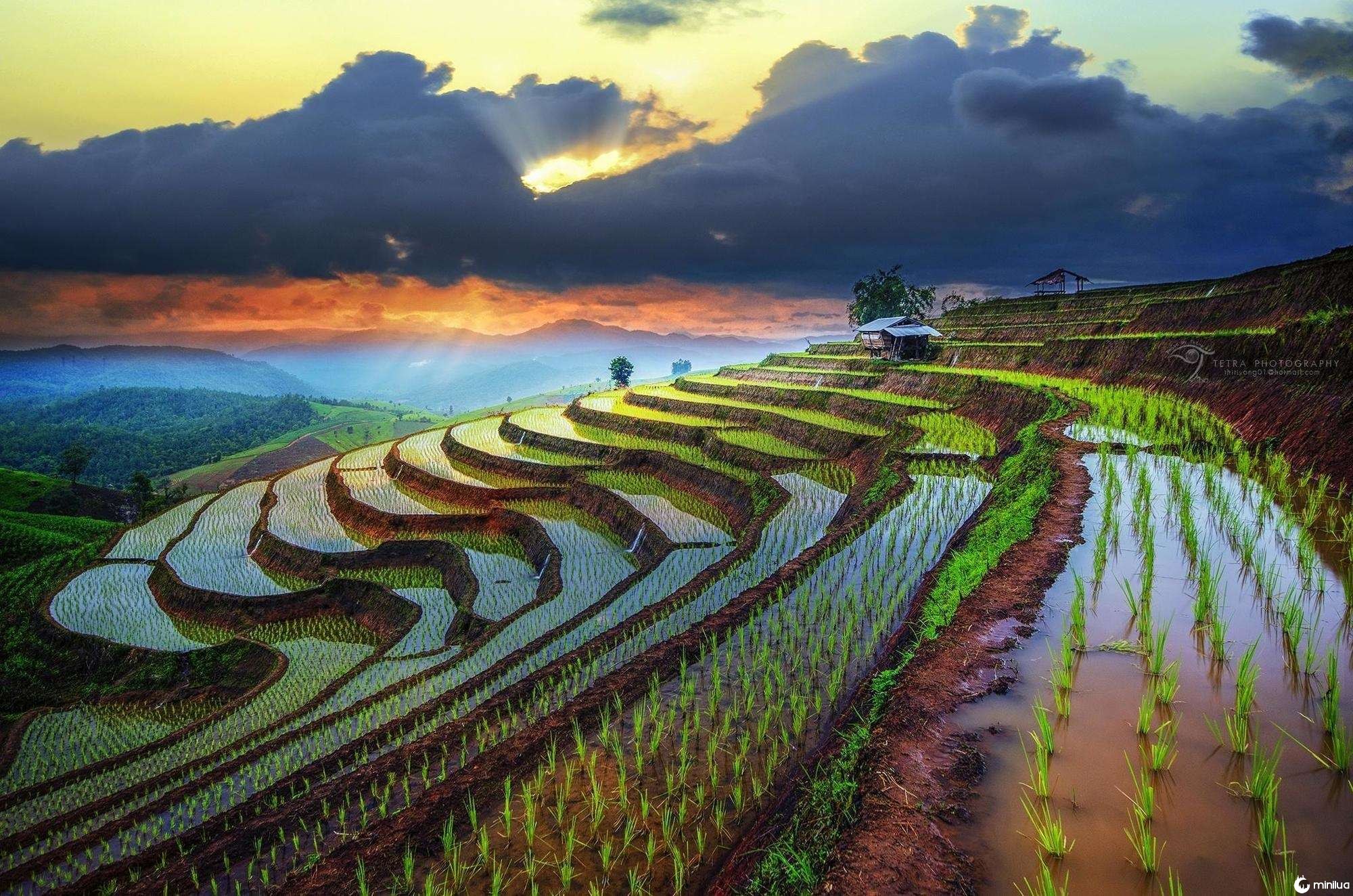 These Vietnamese rice paddies are terraced in such a way that they look almost like a natural formation.