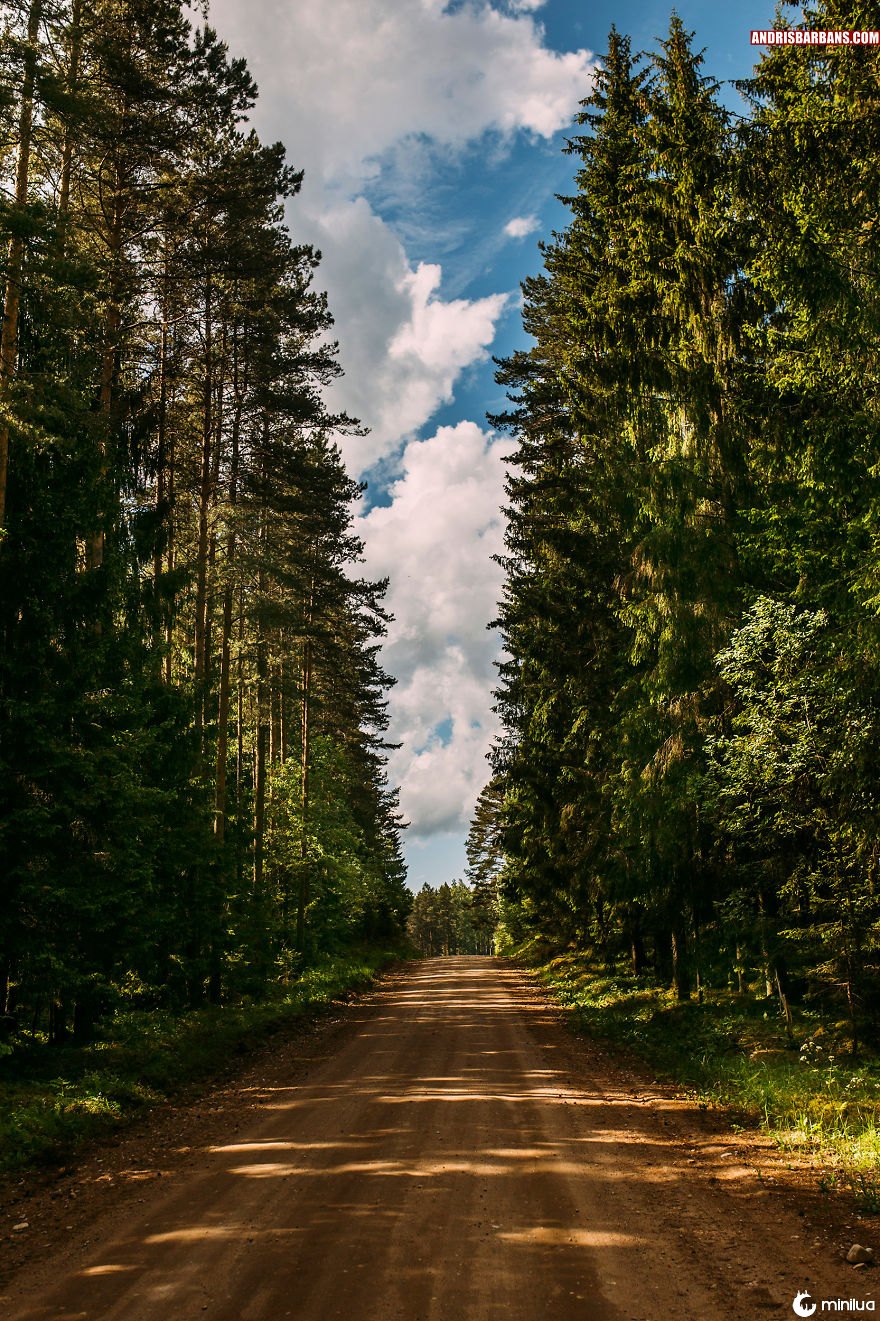 Estrada da floresta em Durbe