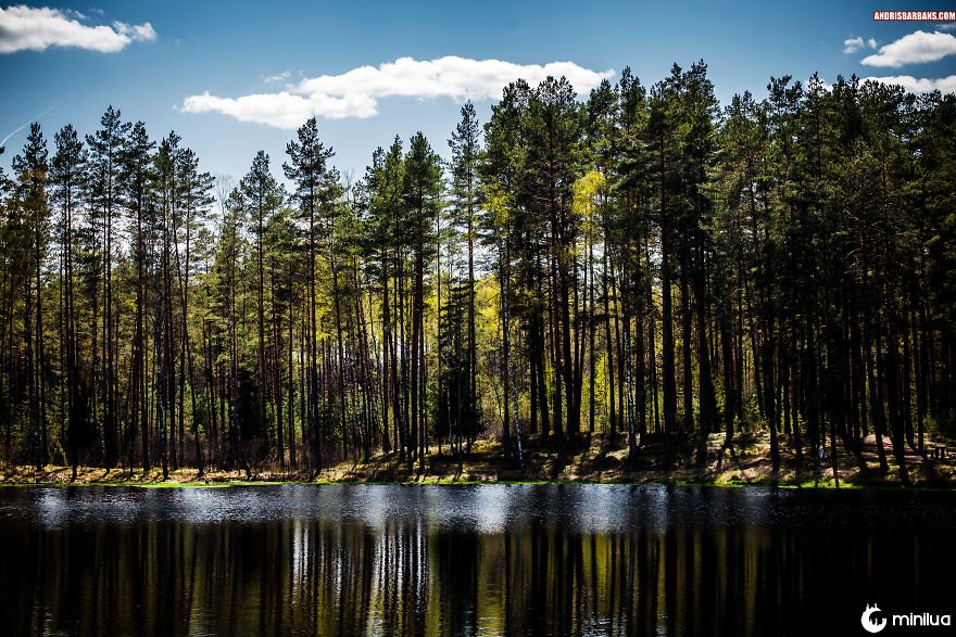 Lago da floresta em Rezekne