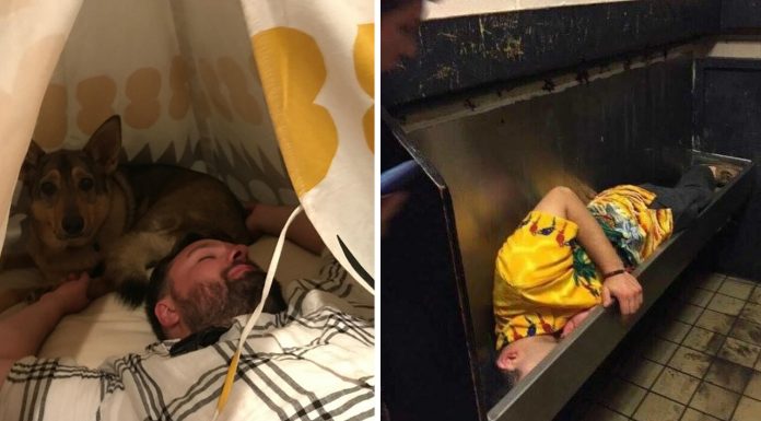 13 Imagens que mostram o porquê que você não deve ficar bêbado