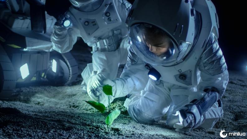 astronauta plantas extraterrestres