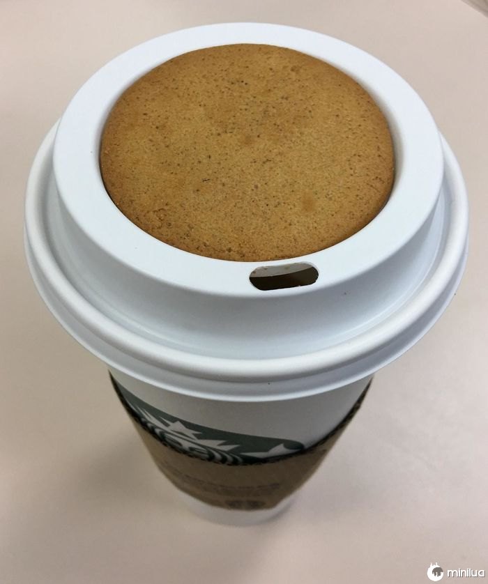 This Gingersnap Fits Perfectly In The Lid Of My Coffee