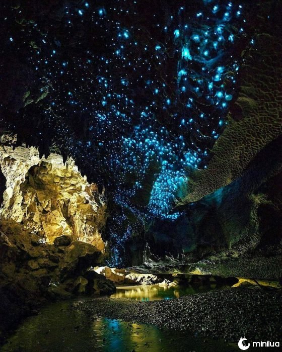 Cueva de las Luces, Nueva Zelanda