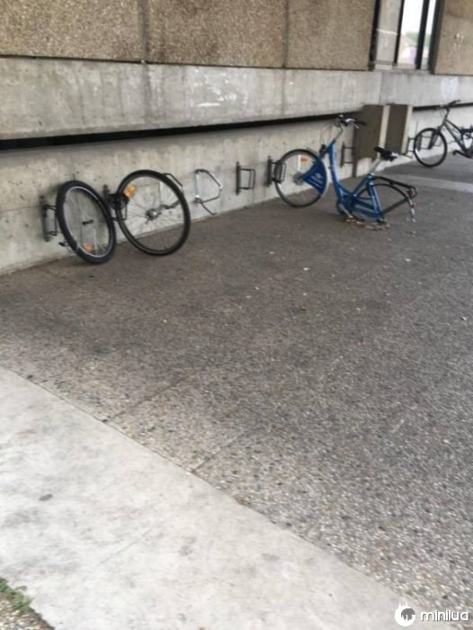 idiotas bicicletas