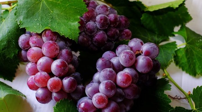 Isto é o que acontece ao seu corpo se você comer uvas todos os dias por 1 mês