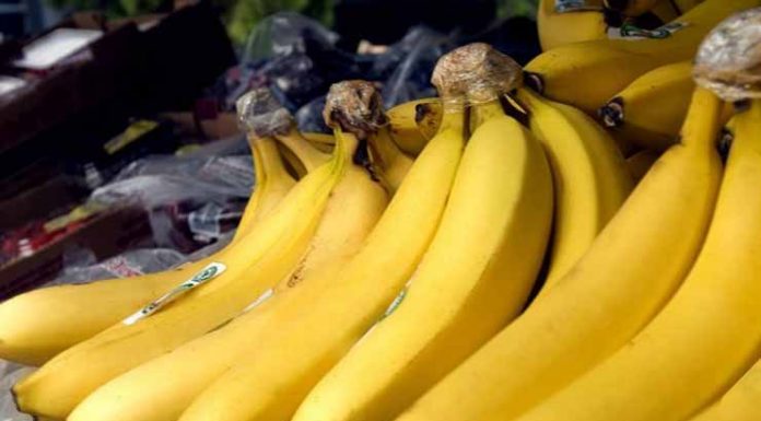 Isso é o que acontece quando você come bananas todos os dias