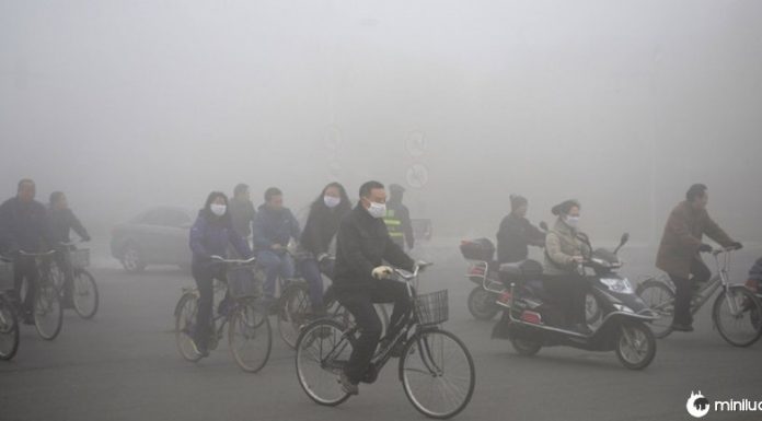 A China plantará 84.000 km quadrados de árvores para combater a poluição