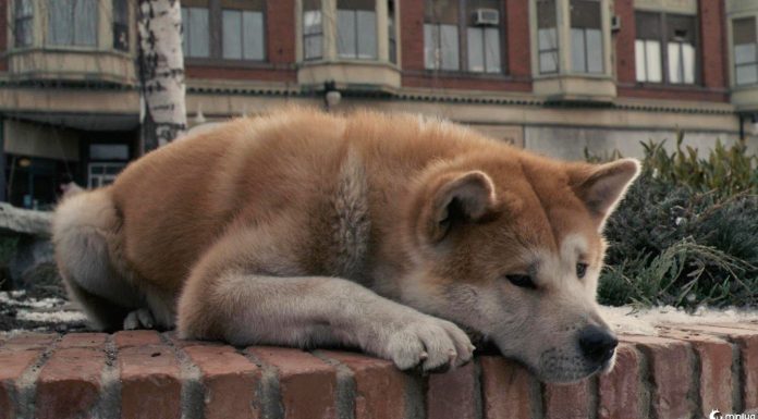 Os filmes e séries que a Netflix irá remover em 2019; veja antes que seja tarde demais