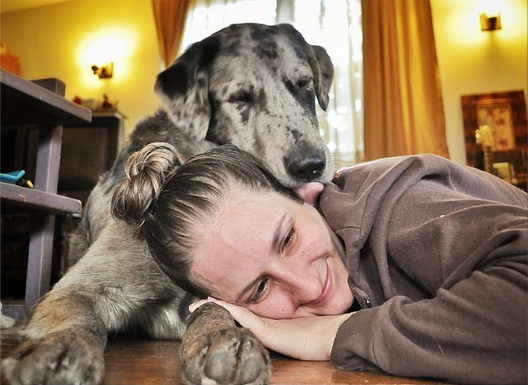 17 Maneiras que seu cão melhorará sua qualidade de vida