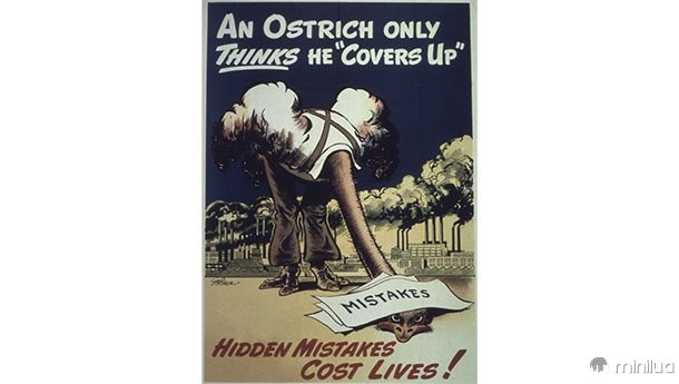 Um avestruz só acha que ele encobre.  Erros ocultos custam vidas!
