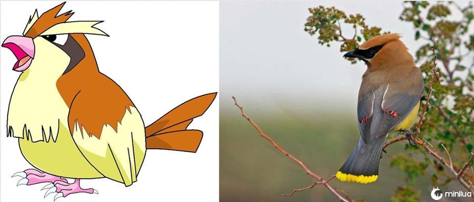 6 POKEMON que existem na vida real! 