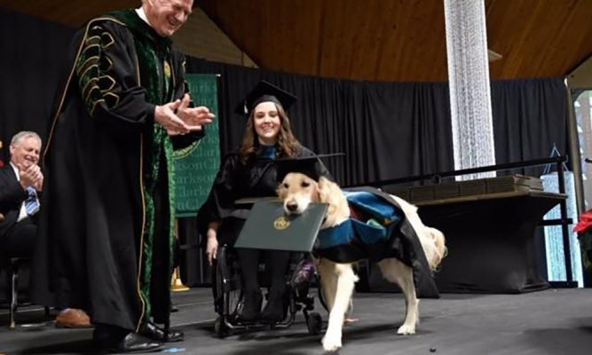 Resultado de imagem para Cachorro recebe diploma de mestrado nos Estados Unidos