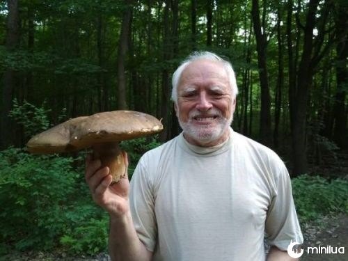 Homem, com, grande, cogumelo