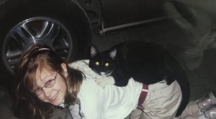 15 fotos adoráveis provando que as crianças não podem viver sem animais de estimação