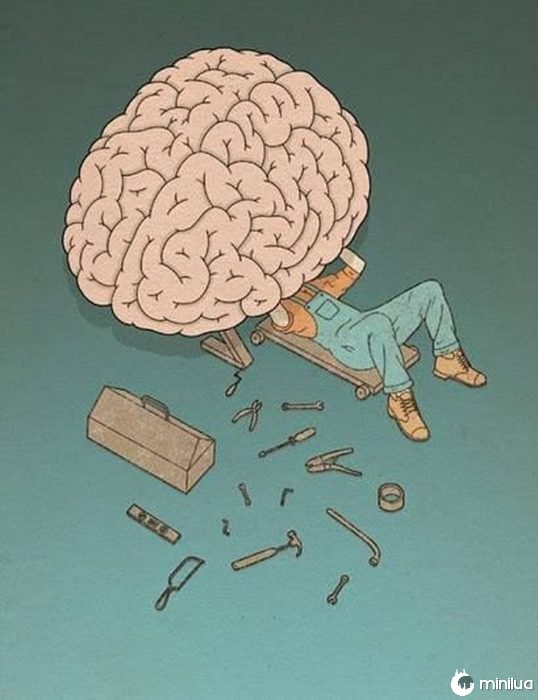 ilustração do cérebro 