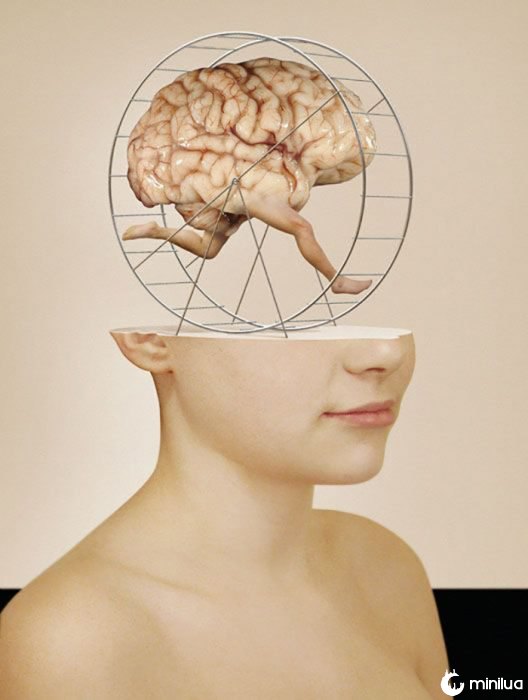 imagem do cérebro em execução 