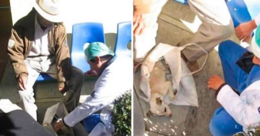 Homem leva filhote de cachorro doente para o hospital humano. Eu não tinha dinheiro e não sabia o que fazer!