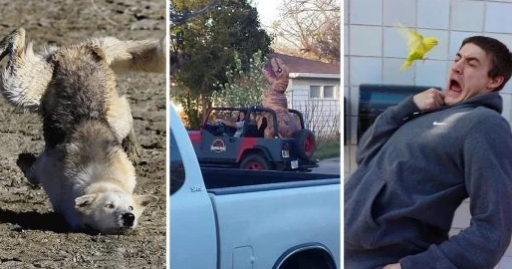 15 Imagens estranhas que não têm explicação! Elas são divertidas e confusas!