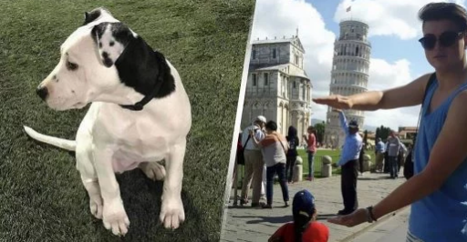 15 imagens que farão você ficar no mínimo confuso!