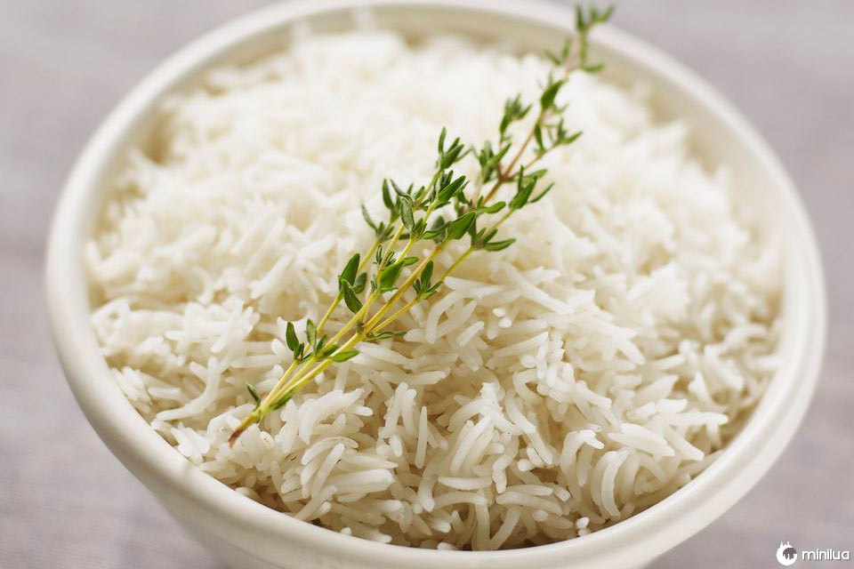 Qual é a diferença entre arroz de jasmim e arroz branco? - Minilua