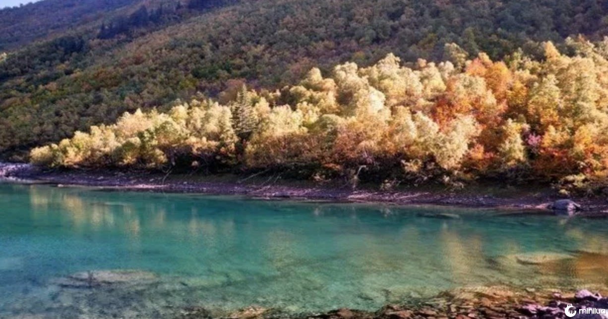 15 dos lugares mais perigosos para nadar na Terra - Minilua