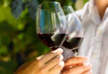 Pode uma taça de vinho beneficiar sua saúde?