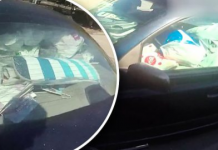 Homem é multado porque seu carro está cheio de lixo!